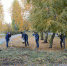 Балаковская АЭС: свыше 30 кубометров мусора убрали атомщики в рамках осеннего субботника - Балаковская АЭС