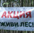 О проведении Всероссийской осенней акции «Живи, лес!» - Администрация Балаково