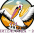 9 февраля 2021 года будут объявлены имена победителей муниципального этапа Всероссийского конкурса «Учитель года – 2021» - Администрация Балаково