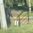 Житель Балаково разгуливал по улице с ножом - GoBalakovo.Ru
