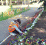 Благоустройство города продолжается ежедневно и без выходных - Балаковские вести