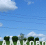 Фото: - GoBalakovo.Ru