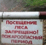 В лесах Саратовской области с сегодняшнего дня устанавливается особый противопожарный режим - Balakovo24.Ru