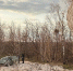 Фото: ГИБДД - GoBalakovo.Ru