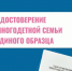 До конца года многодетные родители Саратовской области могут получить удостоверение многодетной семьи нового единого по всей стране образца - Балаковские вести
