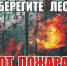 В Саратовской области продолжает действовать ограничение пребывания граждан в лесах - Балаковские вести