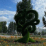 Фото: G﻿obalakovo - GoBalakovo.Ru