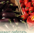 В Балакове начнут работать универсальные ярмарки выходного дня - Балаковские вести