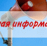 Молодые семьи, проживающие в Саратовской области, могут получить компенсацию затрат на съемное жилье - Балаковские вести
