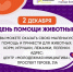 Неделя добрых дел: в Балакове продолжают собирать всё необходимое для животных - Балаковские вести