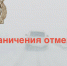 В Саратовской области отменили ограничения на трассах - ProBalakovo.Ru
