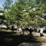 Балаковцы вышли на субботники - Балаковские вести