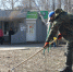 В Балаково объявлен двухмесячник по благоустройству - ProBalakovo.Ru