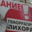 Жителям региона важно помнить о мерах профилактики ГЛПС - Balakovo24.Ru